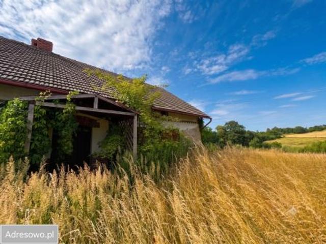 Bezpośrednio, Pstrążna, ul. Podleśna, 67000 m² Działka