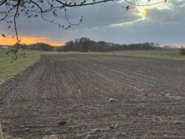 Bezpośrednio, Byszewice, 15000 m² Działka