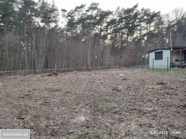 Bezpośrednio, Pustkowo, 728 m² Działka