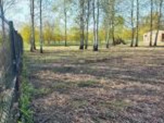 Bezpośrednio, Pysznica, ul. Sportowa, 1000 m² Działka