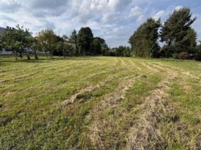 Bezpośrednio, Rączna, 3500 m² Działka