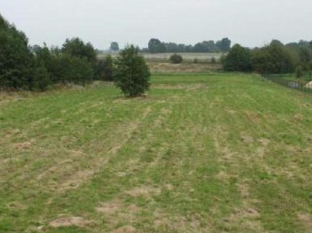 Bezpośrednio, Rozkopaczew, 4968 m² Działka
