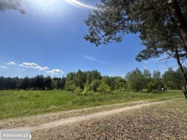 Bezpośrednio, Rościnno, 991 m² Działka