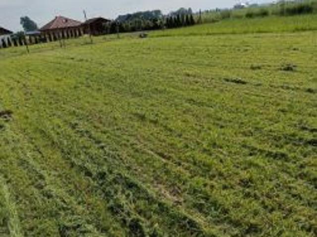 Bezpośrednio, Rochaliki, 952 m² Działka