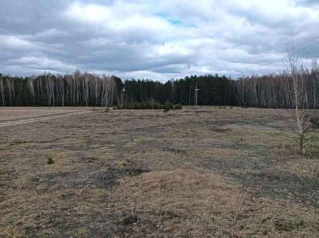 Bezpośrednio, Śródborze, 4500 m² Działka