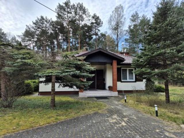 Bezpośrednio, Rogożek, 90 m² Dom