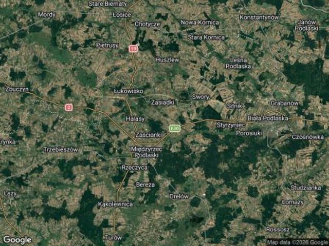 Bezpośrednio, Rogoźnica, 80000 m² Działka