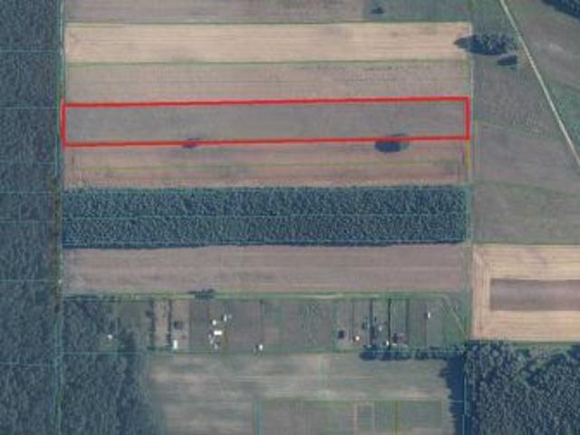 Bezpośrednio, Rogóźno, 15700 m² Działka