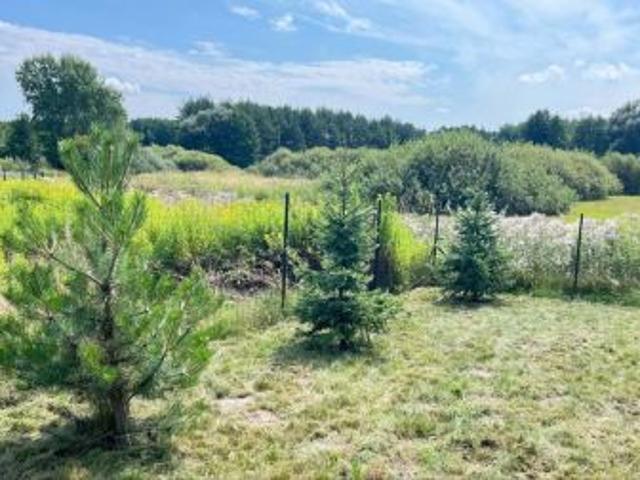 Bezpośrednio, Rogóźno, 300 m² Działka