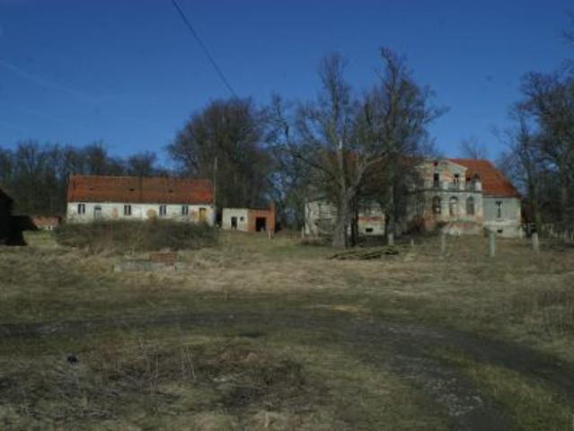 Bezpośrednio, Rogów Wołowski, 467832 m² Działka