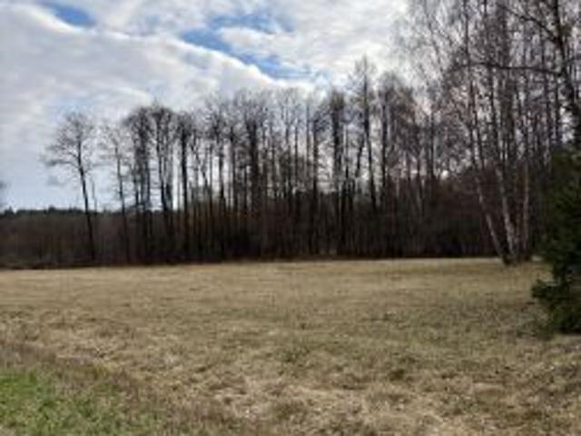 Bezpośrednio, Rogowo Kolonia, 3000 m² Działka