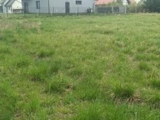 Bezpośrednio, Rokitnica, 1313 m² Działka