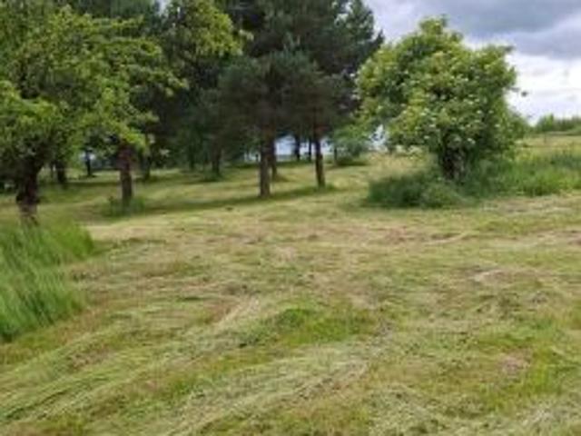 Bezpośrednio, Rokitno Szlacheckie, 8799 m² Działka