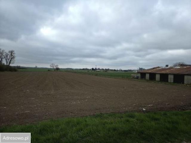 Bezpośrednio, Rolantowice, 5500 m² Działka