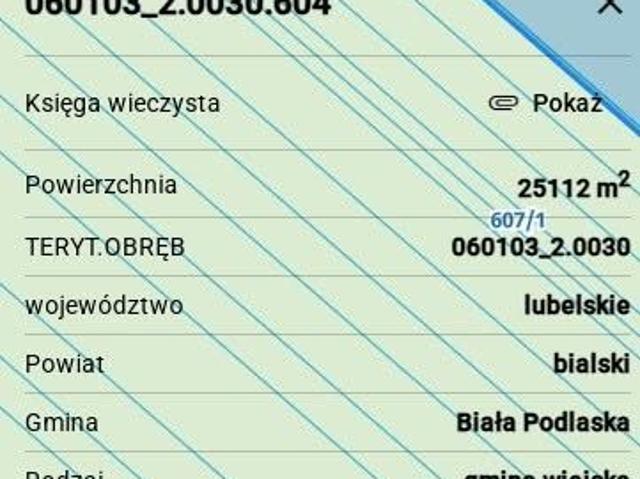 Bezpośrednio, Roskosz, 11200 m² Działka