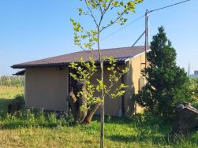 Bezpośrednio, Rosocha, 3000 m² Działka
