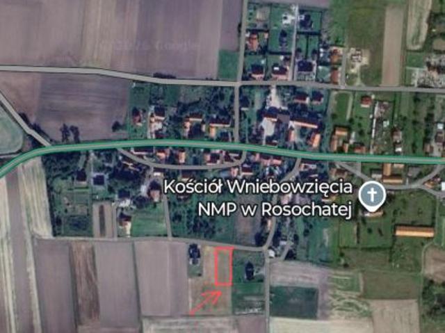 Bezpośrednio, Rosochata, 11500 m² Działka