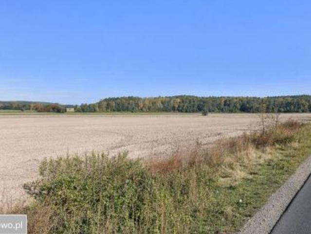 Bezpośrednio, Rososzyca, ul. Ostrowska, 3546 m² Działka