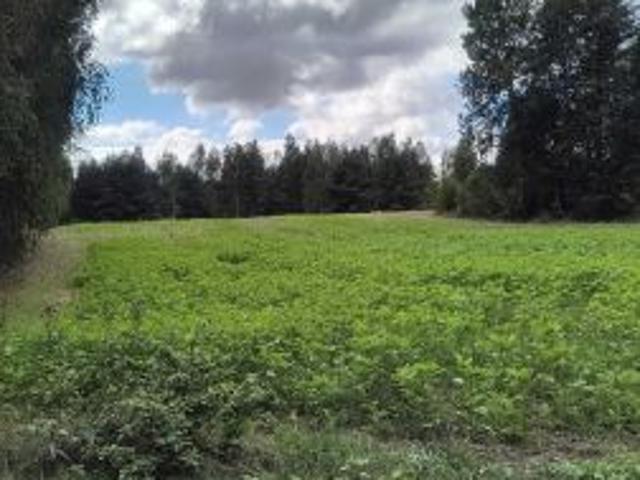 Bezpośrednio, Rawa, 19900 m² Działka