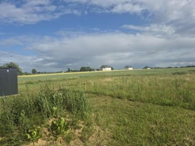 Bezpośrednio, Skaryszew, ul. Wincentowska, 770 m² Działka