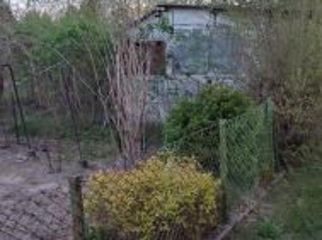 Bezpośrednio, Radom, ul. Wincentego Witosa, 400 m² Działka