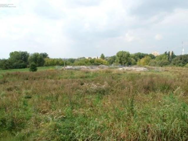 Bezpośrednio, Radom, Zamłynie, ul. Dębowa, 12328 m² Działka