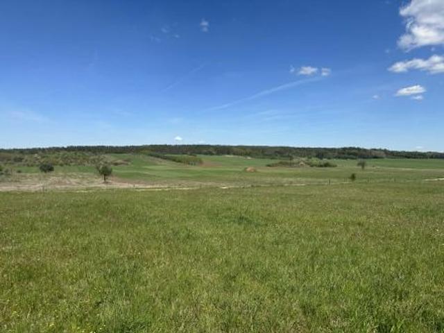 Bezpośrednio, Radomice, Zagórze, ul. Dąbrówka, 2000 m² Działka