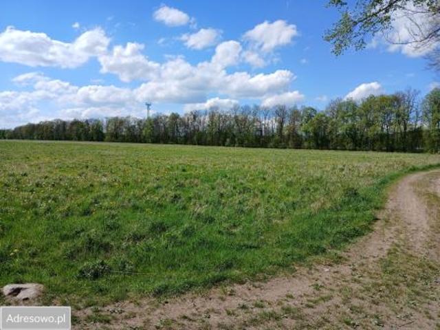 Bezpośrednio, Radomierz, 41100 m² Działka