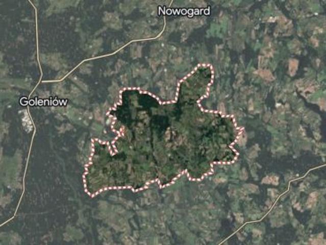 Bezpośrednio, Radzanek, 700000 m² Działka