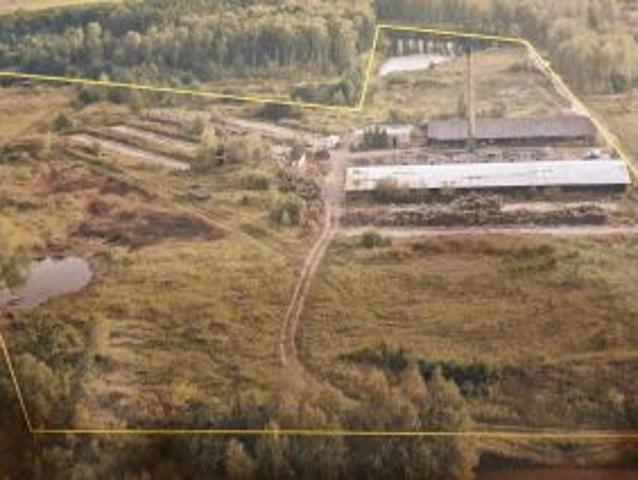 Bezpośrednio, Radzymin, 15000 m² Działka