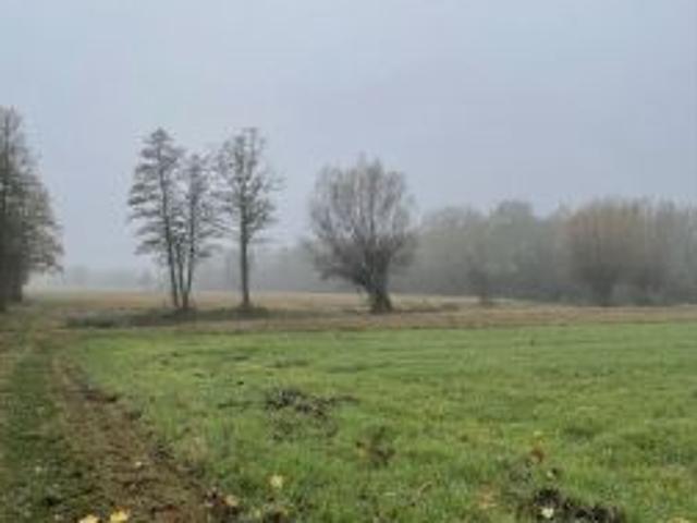 Bezpośrednio, Rajszew, 60000 m² Działka
