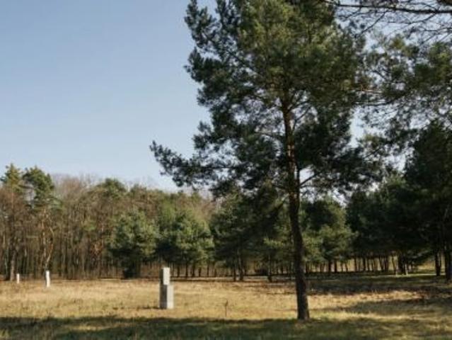 Bezpośrednio, Rajszew, ul. Mazowiecka, 1001 m² Działka