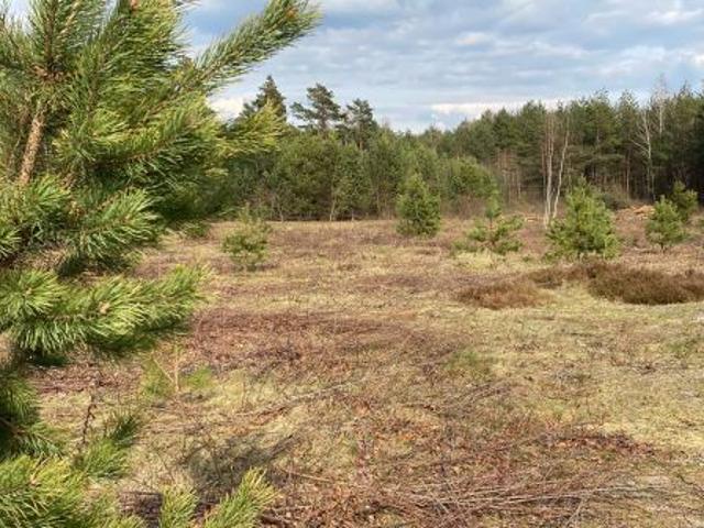 Bezpośrednio, Rapy Dylańskie, 1300 m² Działka