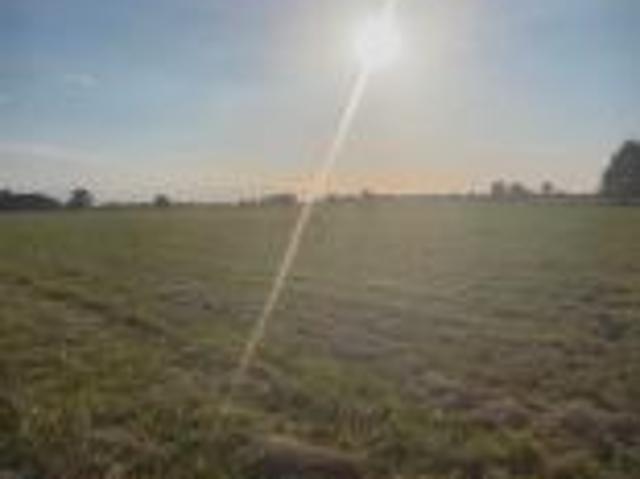 Bezpośrednio, Redliny, 9501 m² Działka