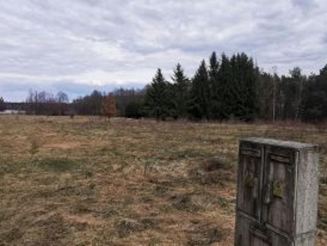 Bezpośrednio, Rekownica, 3604 m² Działka