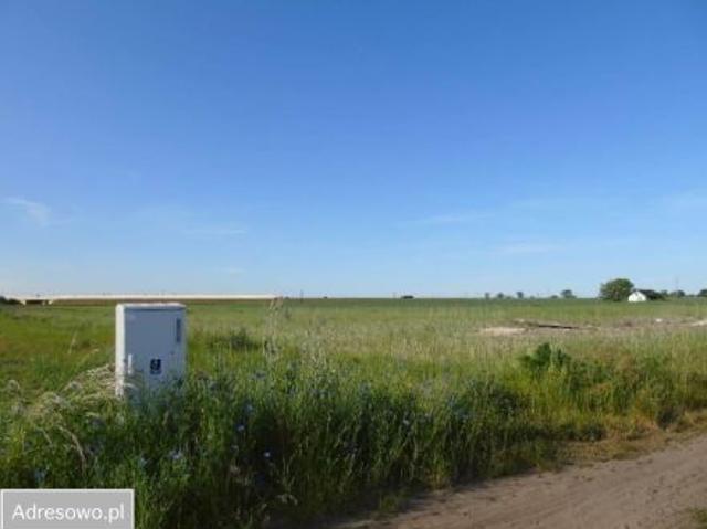 Bezpośrednio, Renice, 3737 m² Działka