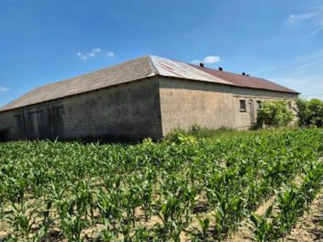 Bezpośrednio, Ruże, 120 m² Dom