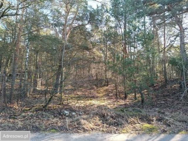 Bezpośrednio, Ruda, 809 m² Działka