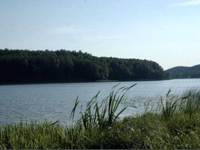 Bezpośrednio, Ruda, 1030 m² Działka