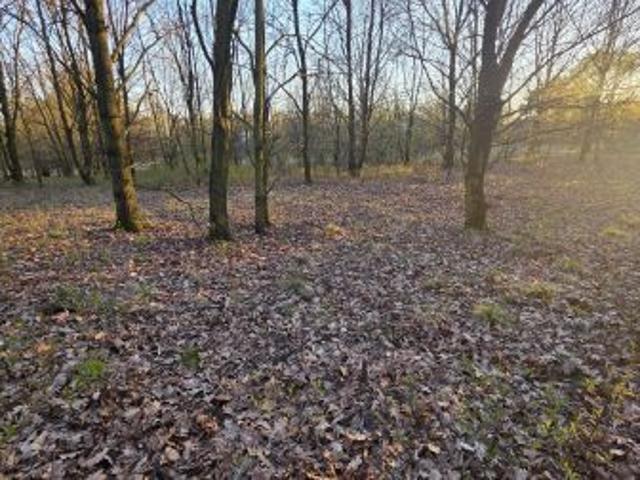 Bezpośrednio, Ruda Śląska, Bielszowice, ul. Stanisława Nabzdyka, 734 m² Działka