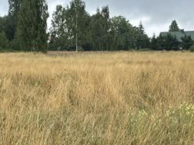 Bezpośrednio, Rudka, 3000 m² Działka