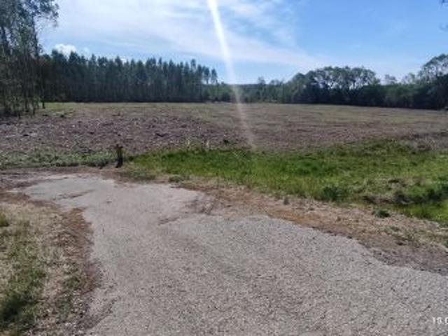 Bezpośrednio, Rudno, ul. Zielona Droga, 11000 m² Działka