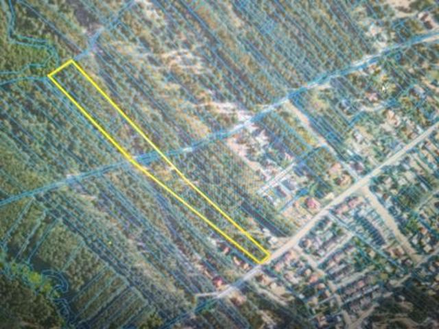Bezpośrednio, Rudnik nad Sanem, ul. Tadeusza Kościuszki, 11400 m² Działka