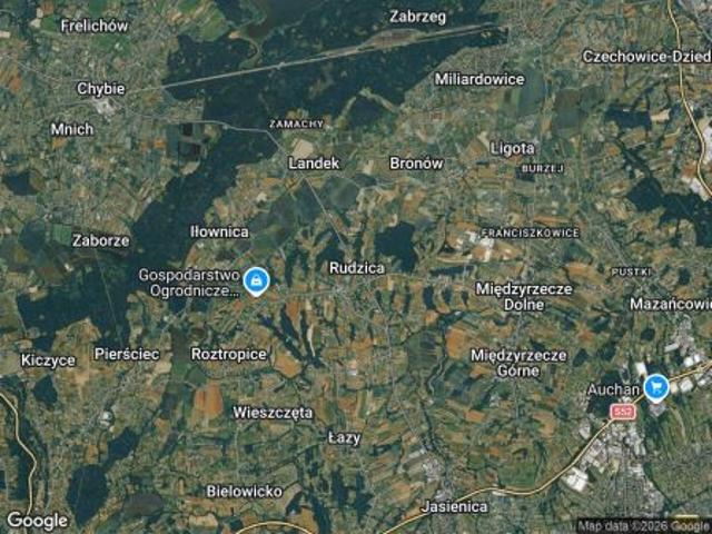 Bezpośrednio, Rudzica, 10000 m² Działka