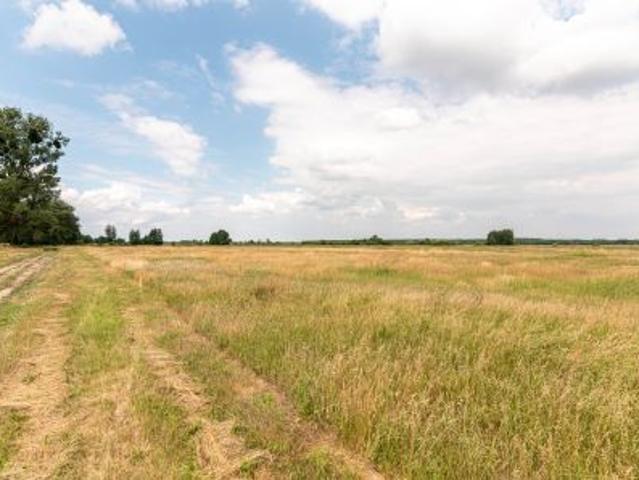 Bezpośrednio, Rurzyca, ul. Łąkowa, 25732 m² Działka