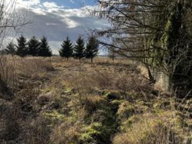 Bezpośrednio, Rurzyca, ul. Skryta, 2127 m² Działka