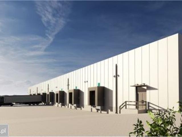 Bezpośrednio, Rusinów, 25000 m² Działka