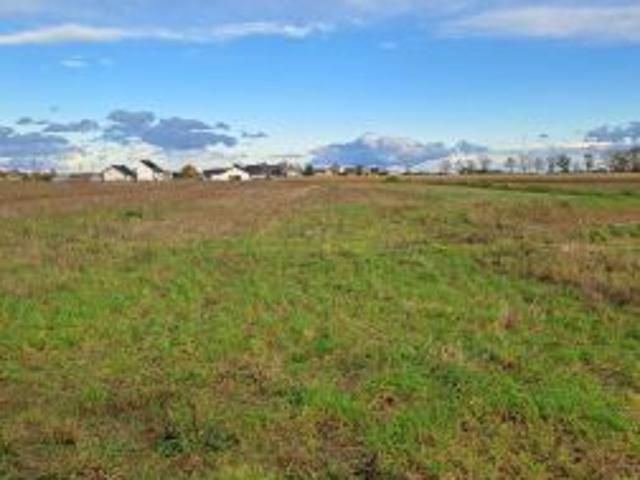 Bezpośrednio, Rusiborek, 794 m² Działka