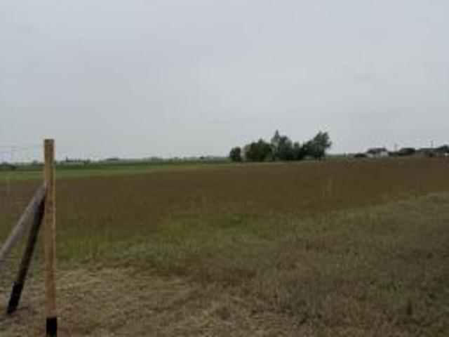 Bezpośrednio, Rusiborek, 960 m² Działka