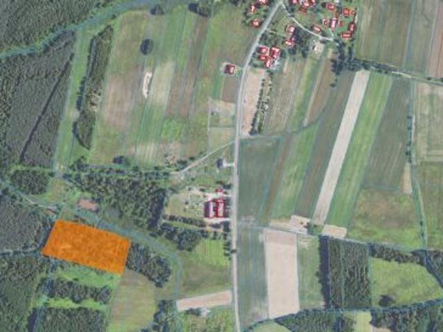 Bezpośrednio, Rusowo, 114000 m² Działka